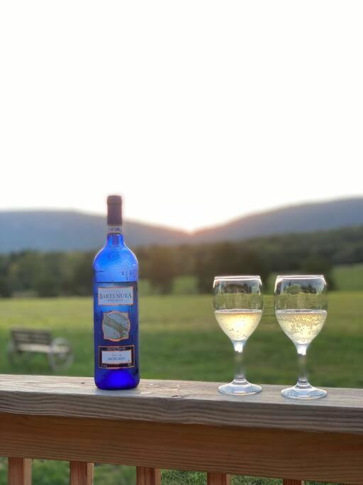Villa Holly Tree Retreat Located In Beautiful Luray, Va. Esterno foto