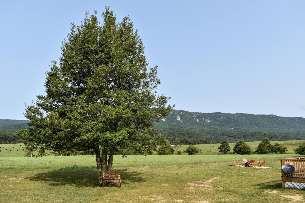 Villa Holly Tree Retreat Located In Beautiful Luray, Va. Esterno foto