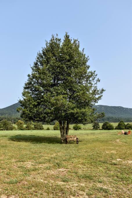 Villa Holly Tree Retreat Located In Beautiful Luray, Va. Esterno foto