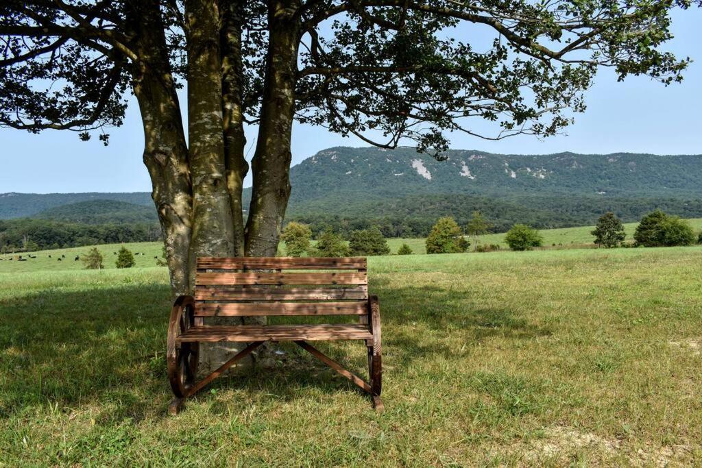Villa Holly Tree Retreat Located In Beautiful Luray, Va. Esterno foto