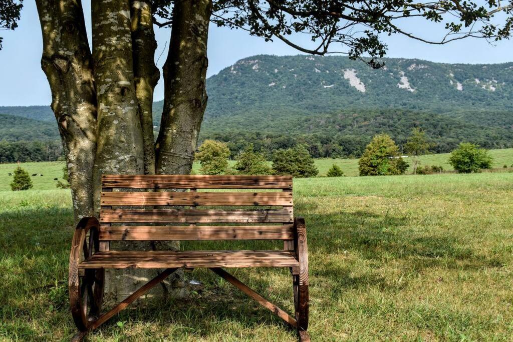 Villa Holly Tree Retreat Located In Beautiful Luray, Va. Esterno foto