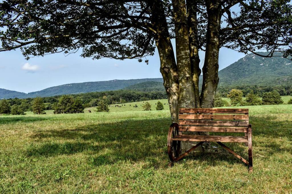 Villa Holly Tree Retreat Located In Beautiful Luray, Va. Esterno foto