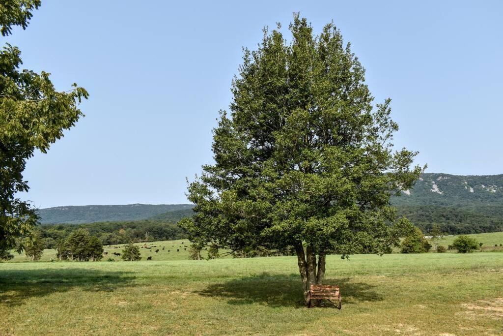Villa Holly Tree Retreat Located In Beautiful Luray, Va. Esterno foto